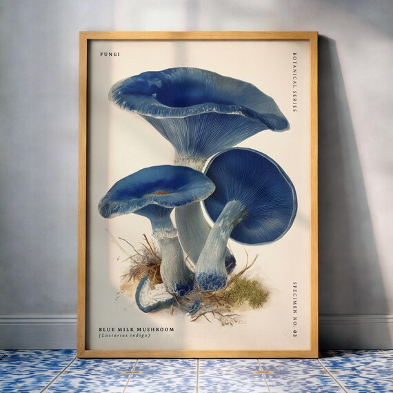 Blue Milk Mushroom Lactarius Indigo Vintage Botanical Fungi Poster