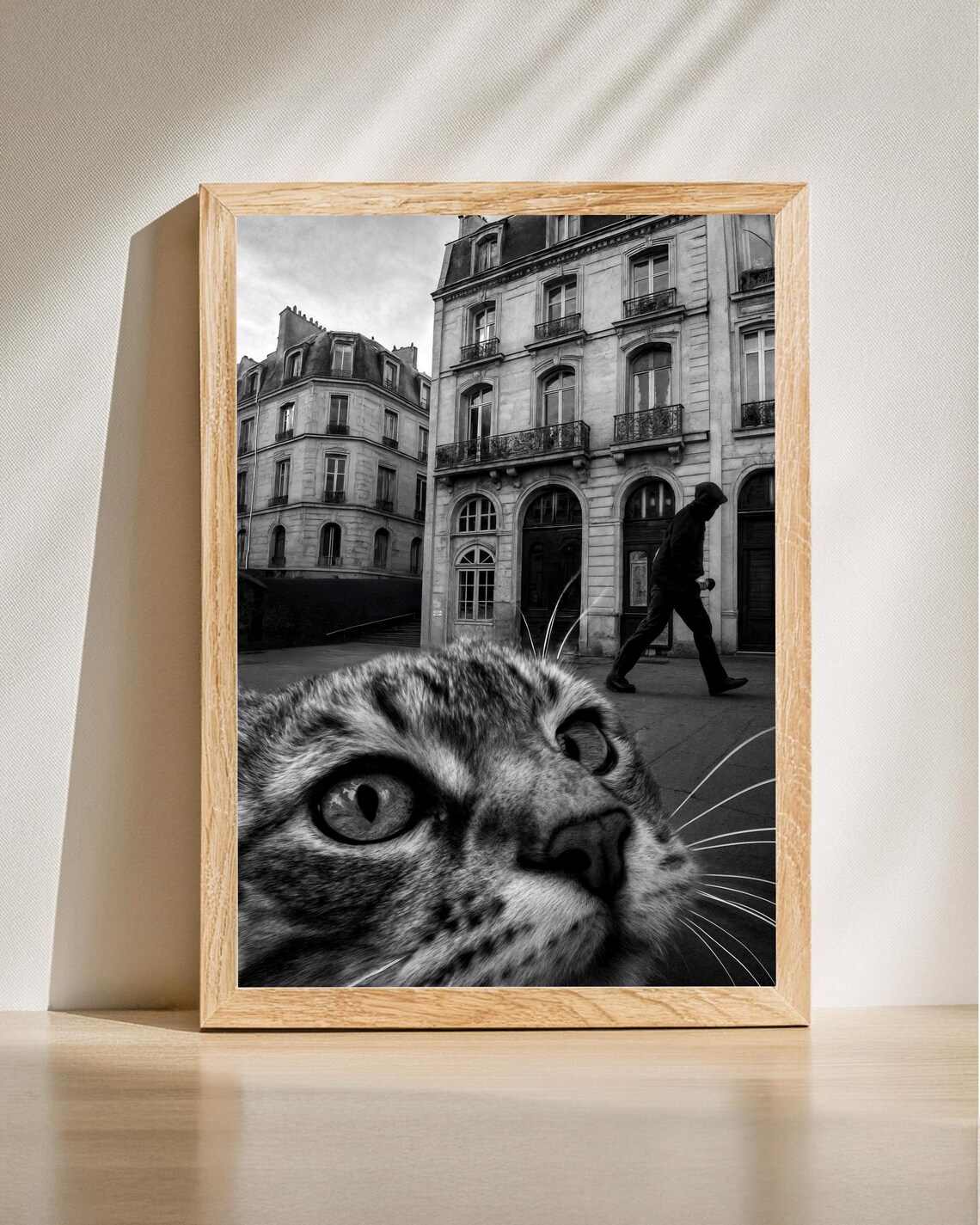 Funny Paris Street Cat Black White Tabby Photo Urban Art Poster