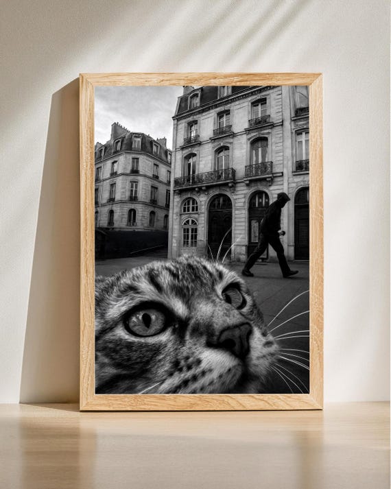 Paris Street Cat Art Black And White Print Funny Poster Urban Wall Lover Gift Modern Home Decor