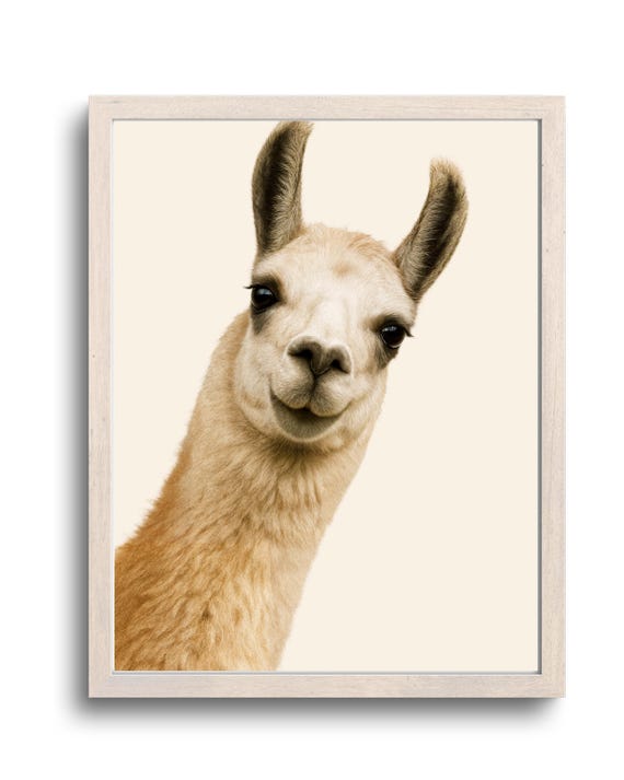 Funny Iiama Bathroom Wall Art Gift For Her Him Cute Toilet Humor Decor Animal Poster