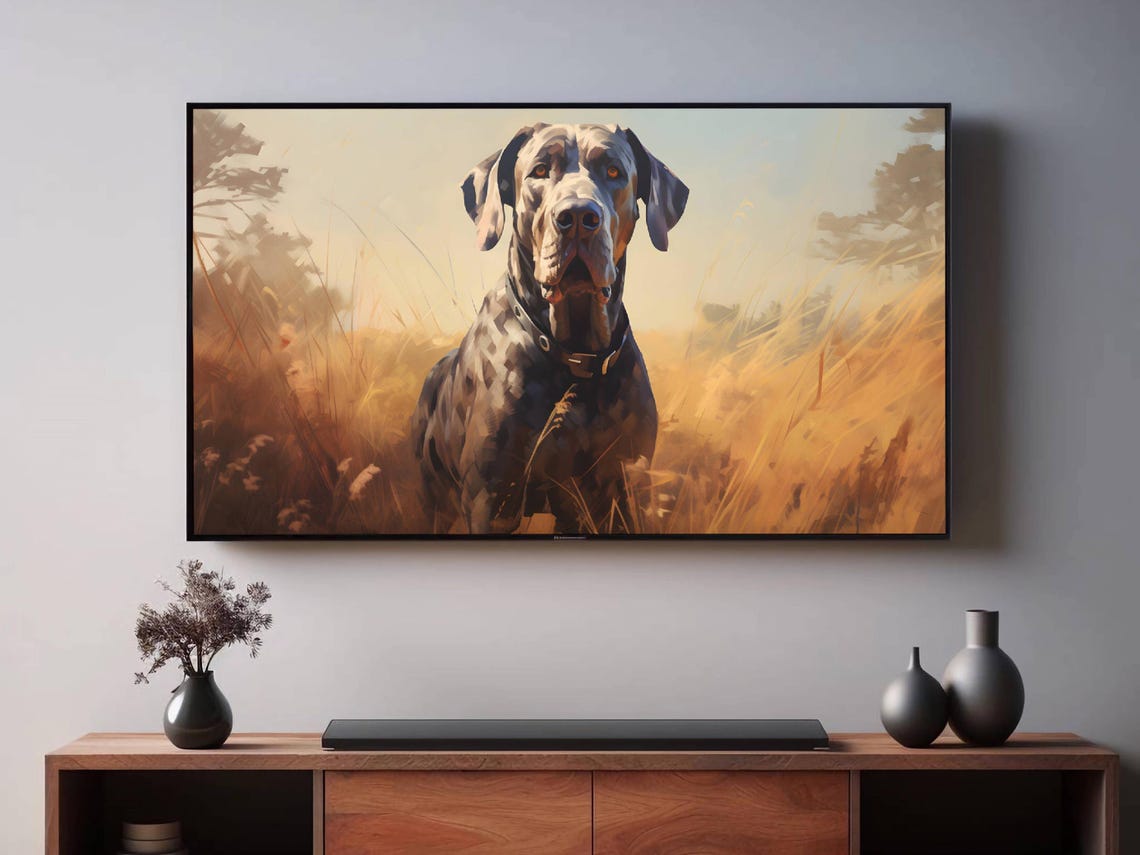 Great Dane Portrait Blue Merle Dog Standing Golden Wheat Field Poster - Image 2