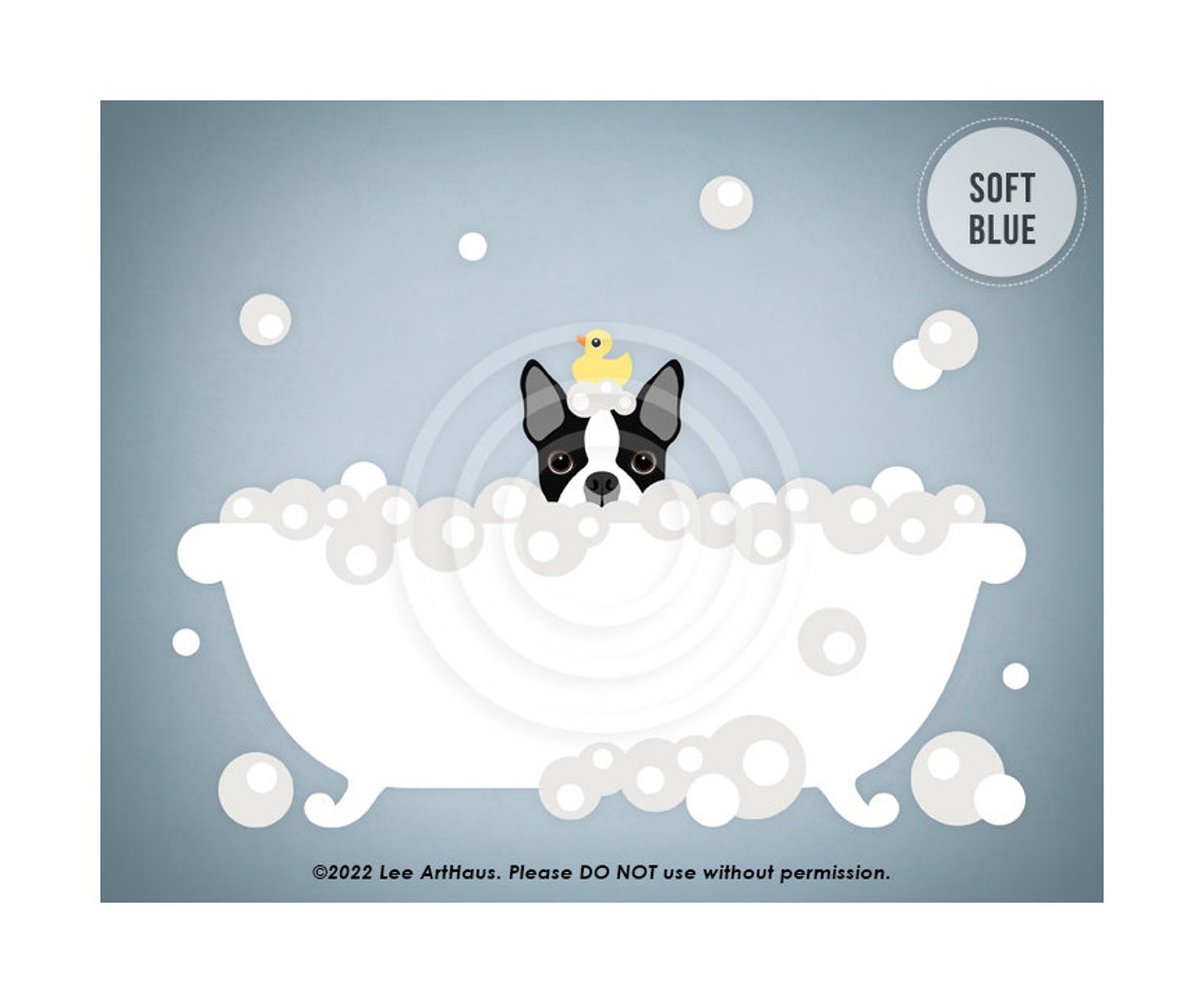 Boston Terrier In Bubble Bath With Rubber Duck Funny Dog Art Poster - Image 2