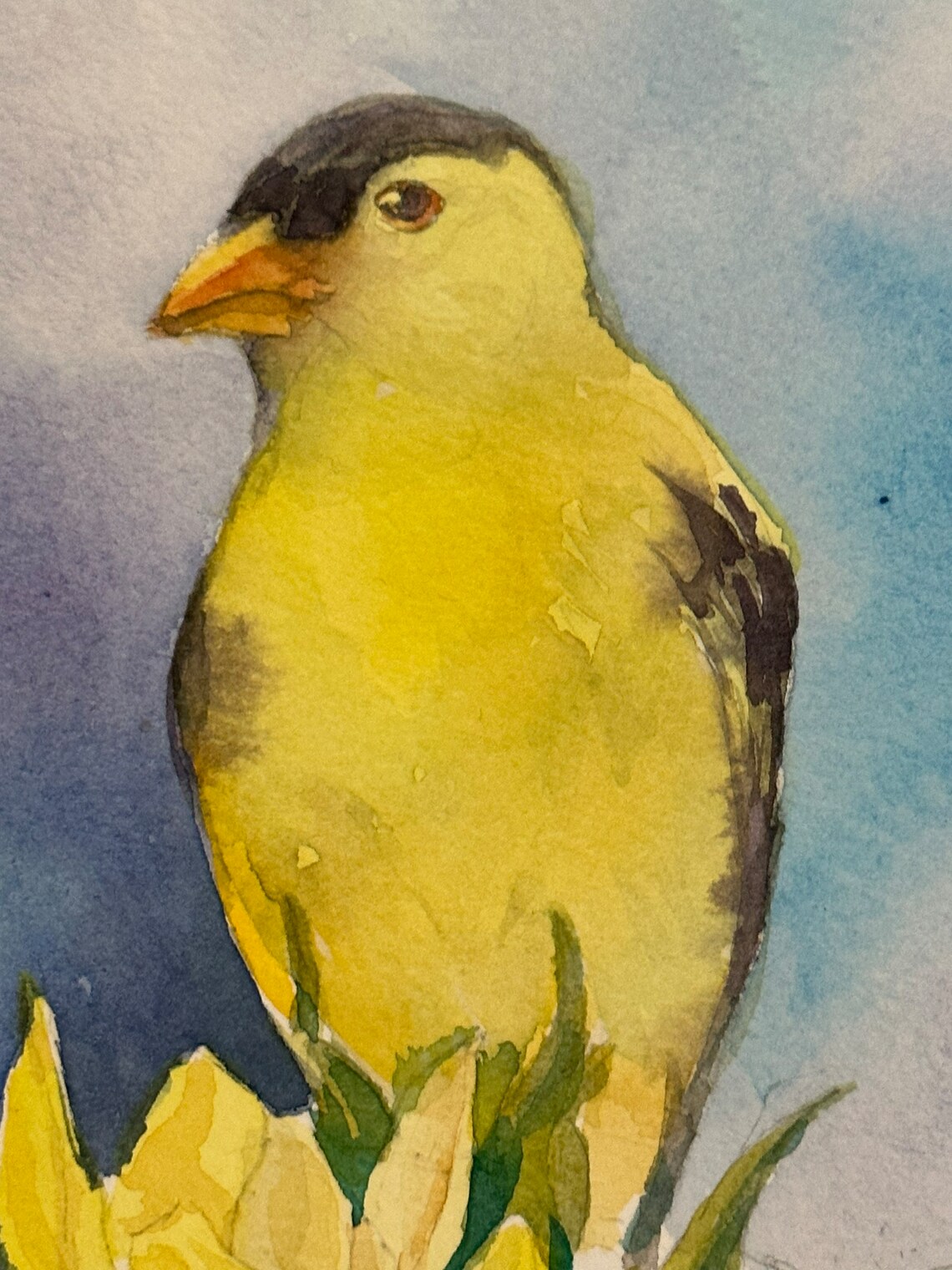 American Goldfinch on Sunflower Watercolor Summer Bird Poster - Image 3