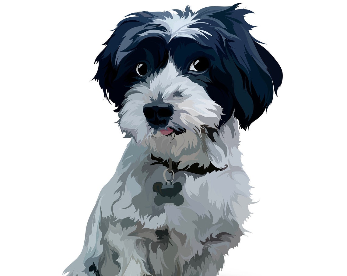 Small Black and White Fluffy Dog Custom Vector Pet Portrait Poster
