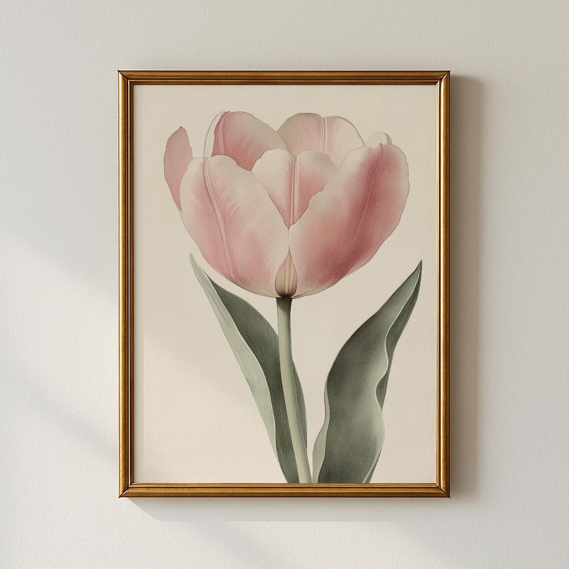 Vintage Soft Pink Tulip Bloom Botanical Illustration Wall Poster