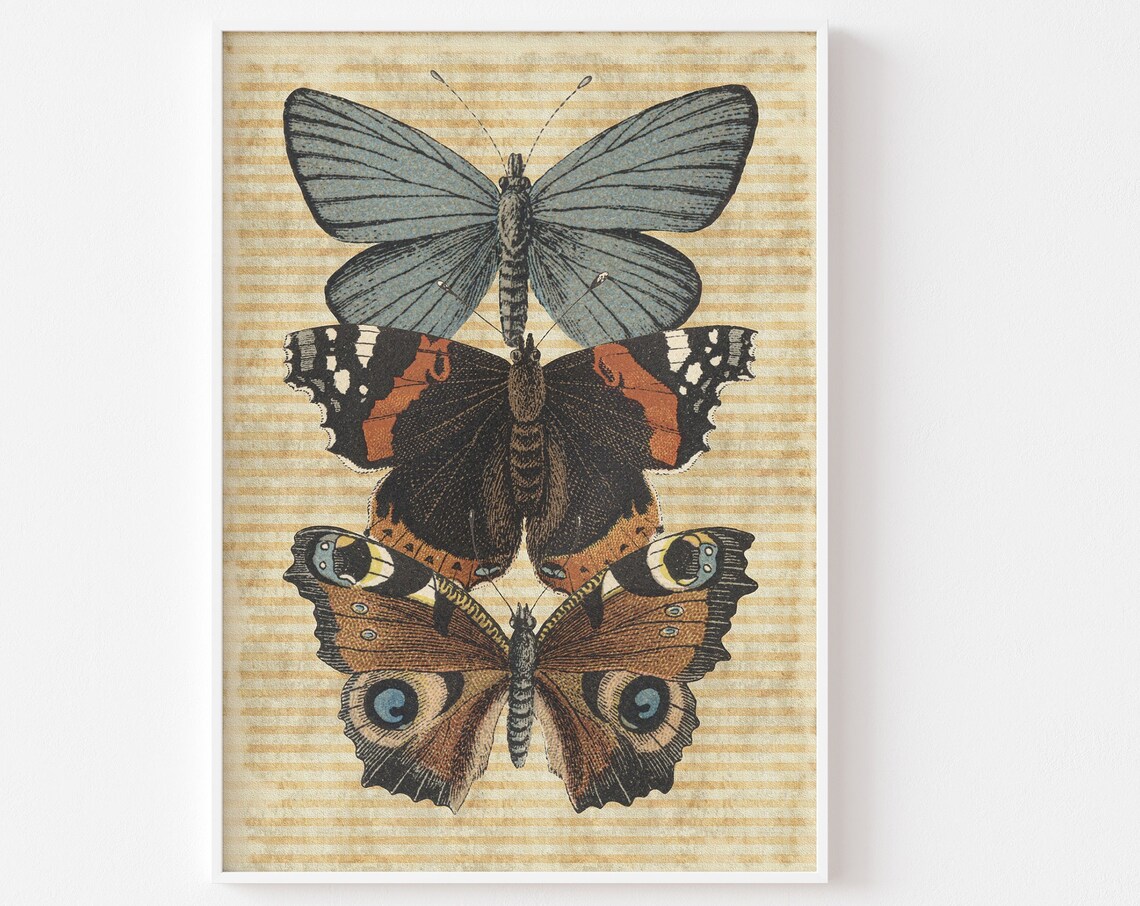 Moody Vintage Butterfly Print, Victorian Nature Art