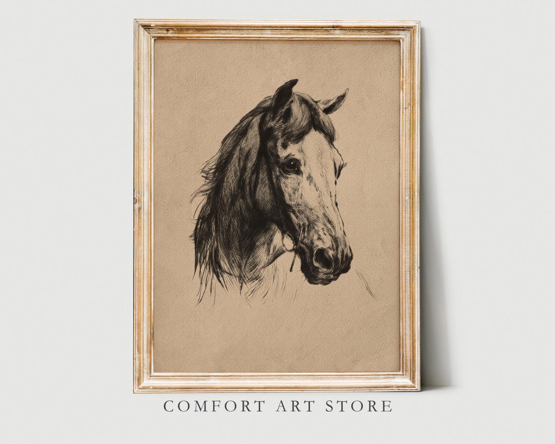 Vintage Horse Head Sketch Rustic Equestrian Charcoal Wall Art Poster