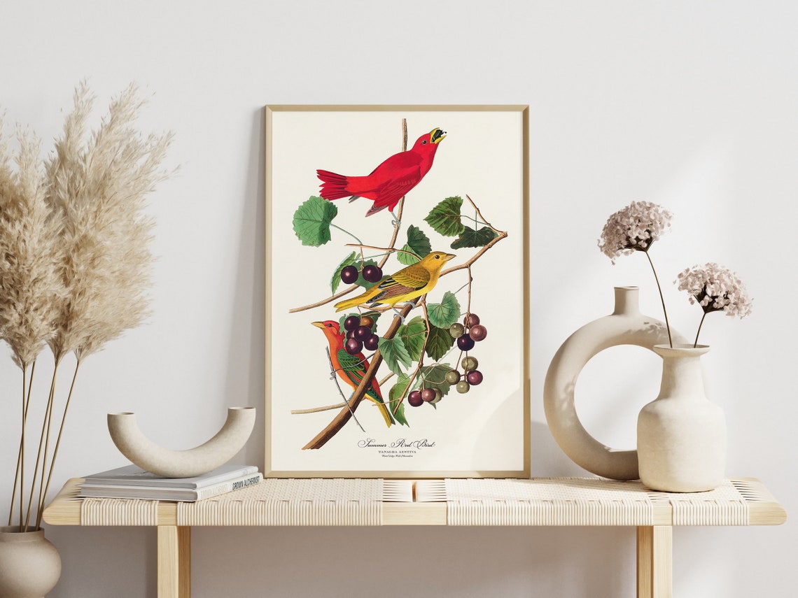 Carolina Parrot Audubon Style Vintage Bird Art Gallery Wall Poster - Image 5