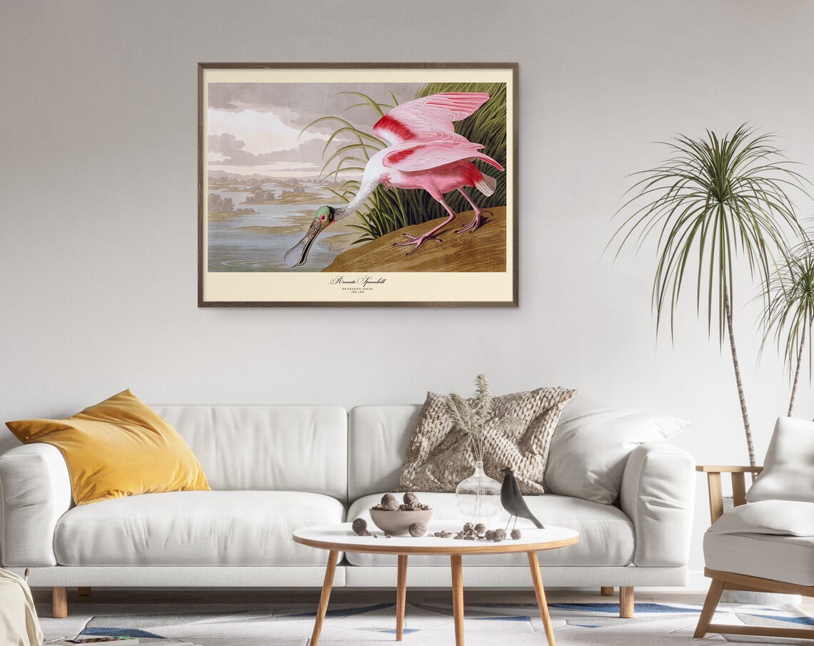 Audubon Print Set Sea Birds Vintage Nature Poster