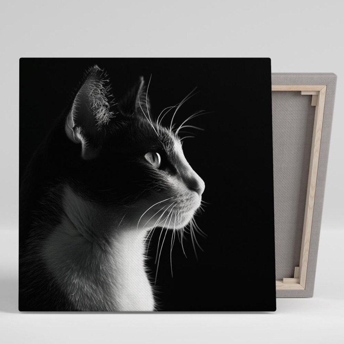 Black and White Cat Profile Dramatic Light Fine Art Portrait Wall Art Poster