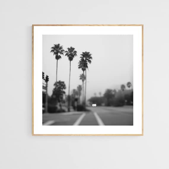 Palm Tree Print, Tropical Black And White Photograph