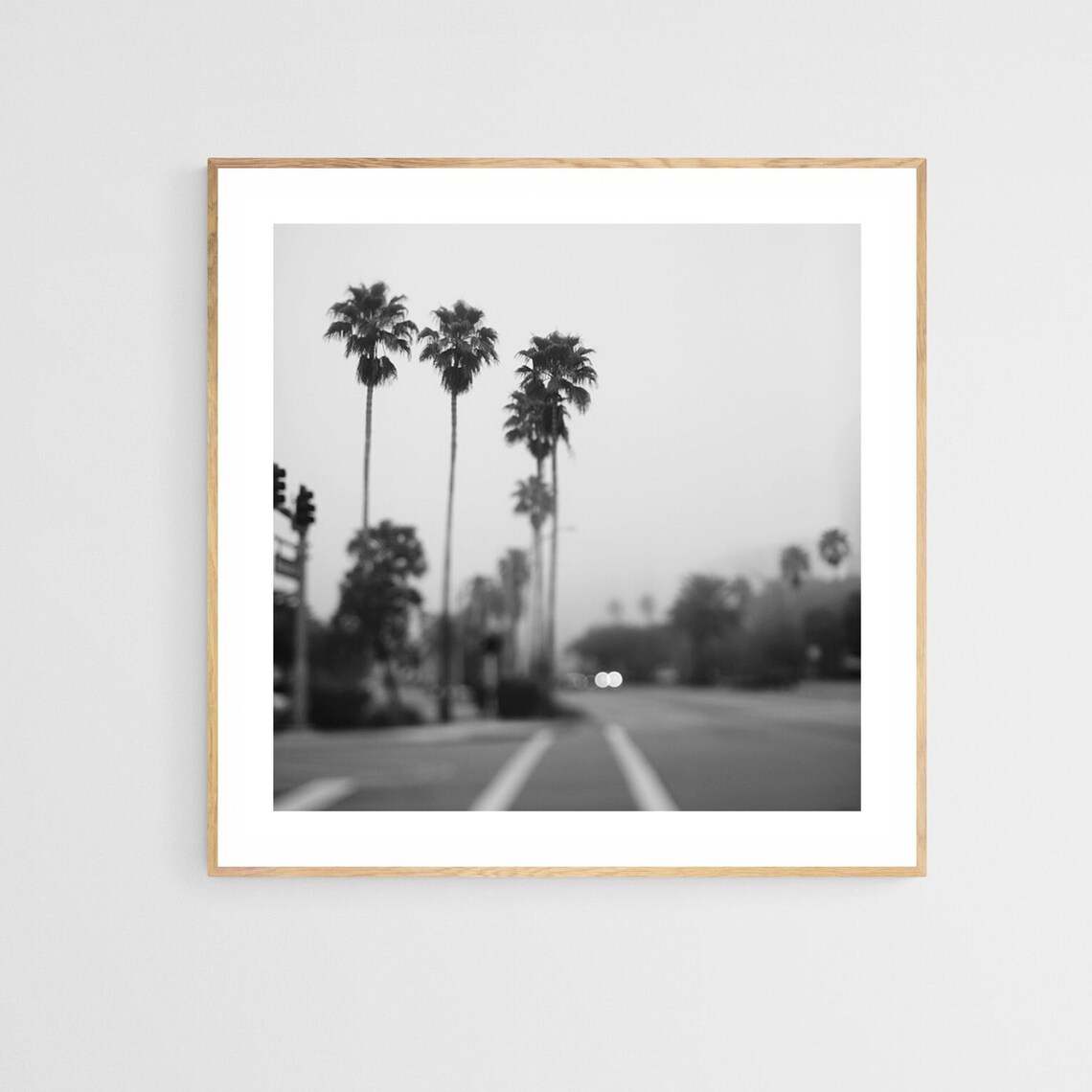 Palm Tree Print, Tropical Black And White Photograph