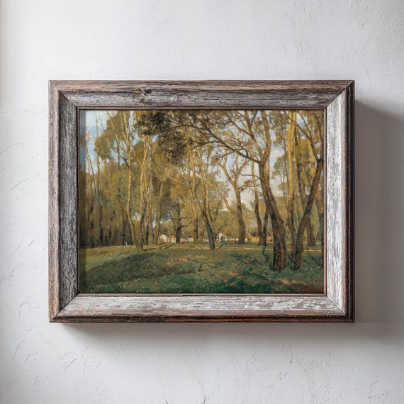 Forest Sunlight Landscape Print Tranquil Fine Art Wall Decor