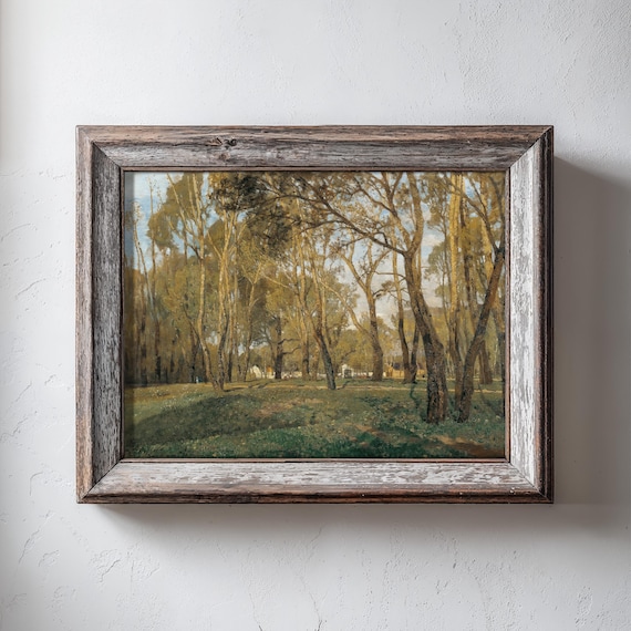 Sunlit Forest Clearing With Tall Trees Vintage Nature Wall Art
