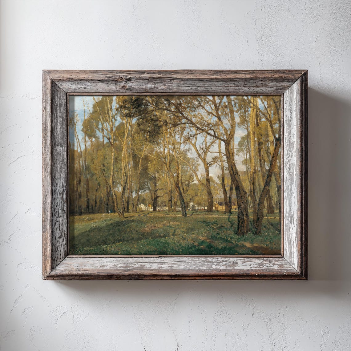 Sunlit Forest Clearing With Tall Trees Vintage Nature Wall Art