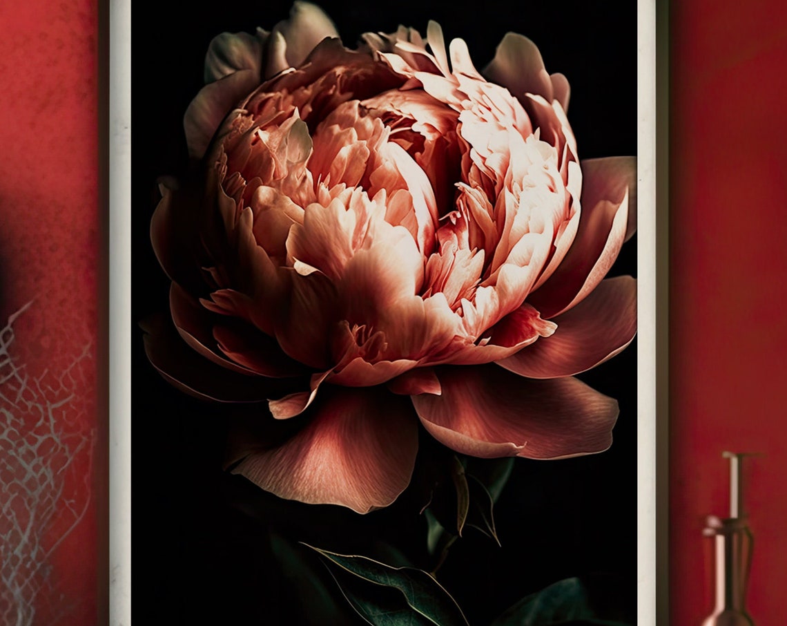 Dark Moody Peony Bloom Black Background Dark Academia Wall Art