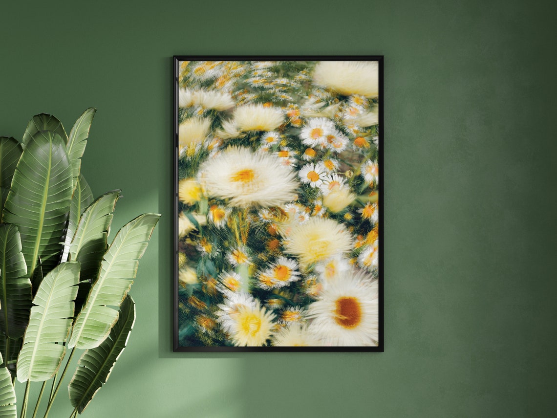 White Daisy Flower Field Dreamy Photography Floral Decor Poster