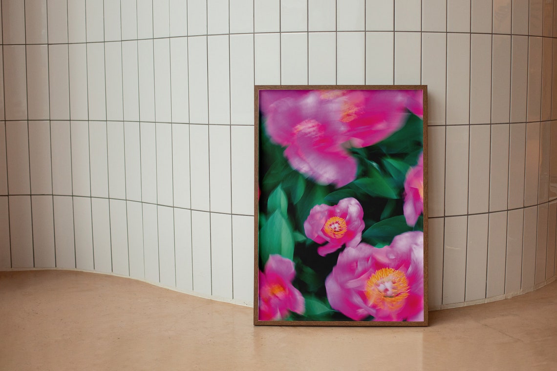 Pink Peony Flower Soft Focus Photography Botanical Decor Poster