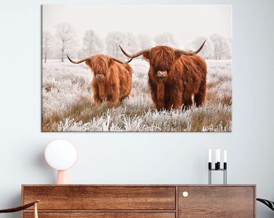 Two Highland Cows Frosty Winter Field Shaggy Cattle Photo Poster