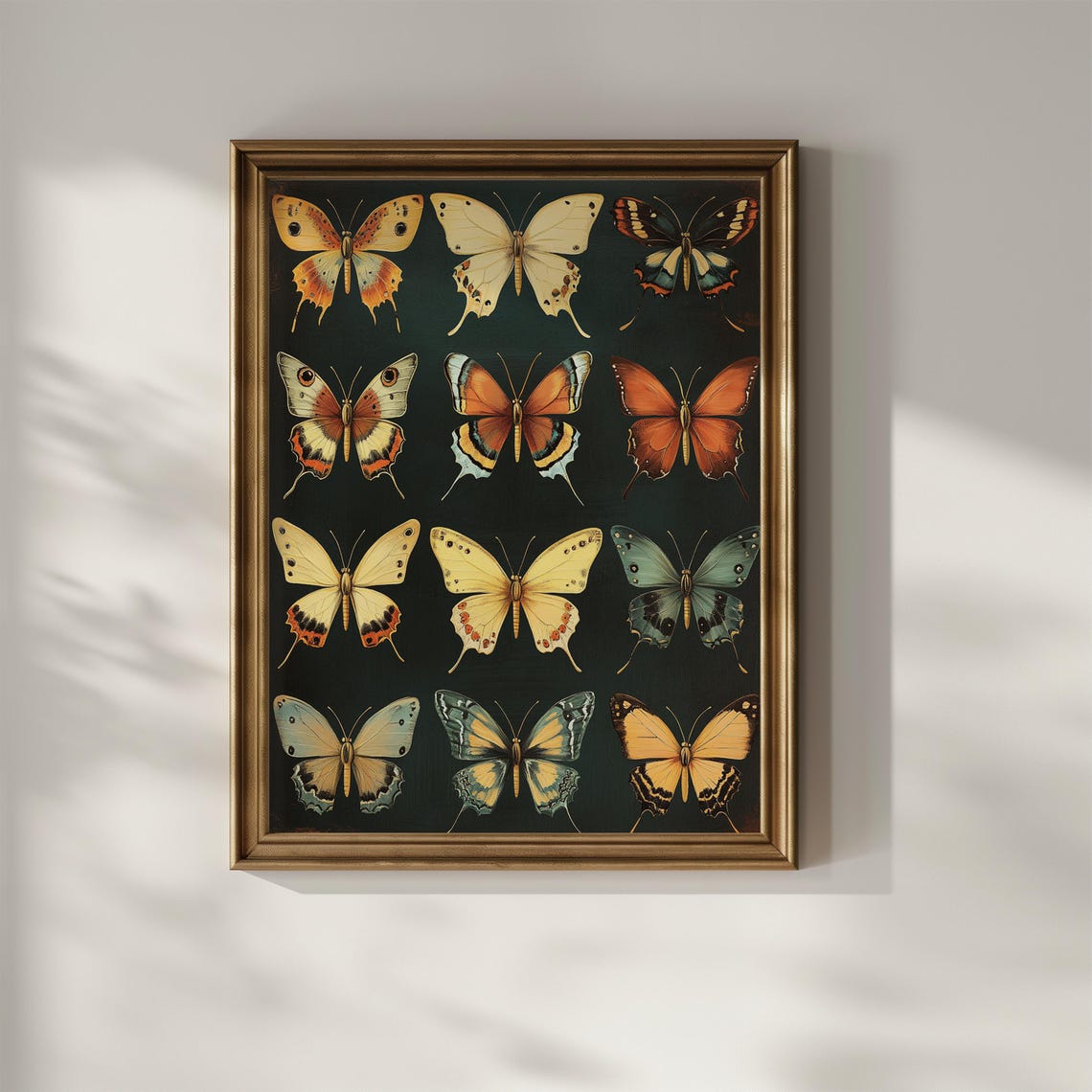 Twelve Butterfly Specimen Grid Moody Vintage Insect Collection Poster - Image 3