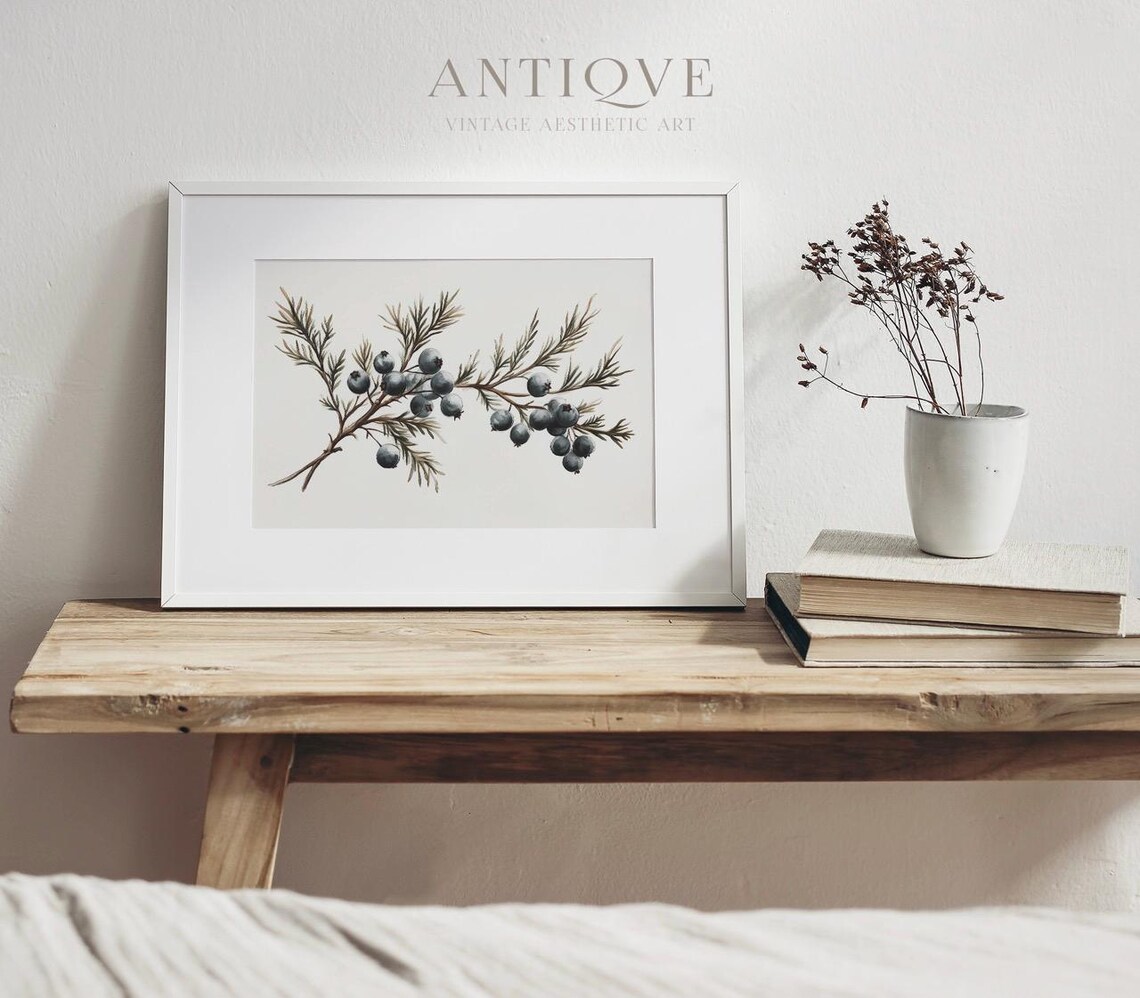 Juniper Berry Branch Rustic Holiday Art Print - Image 4