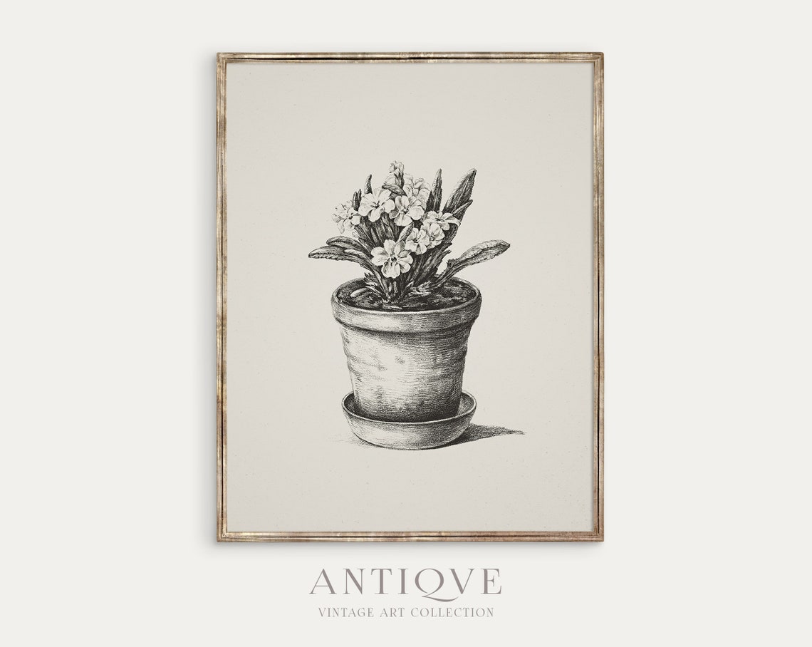 Potted Flower Plant Vintage Pencil Sketch Botanical Farmhouse Print