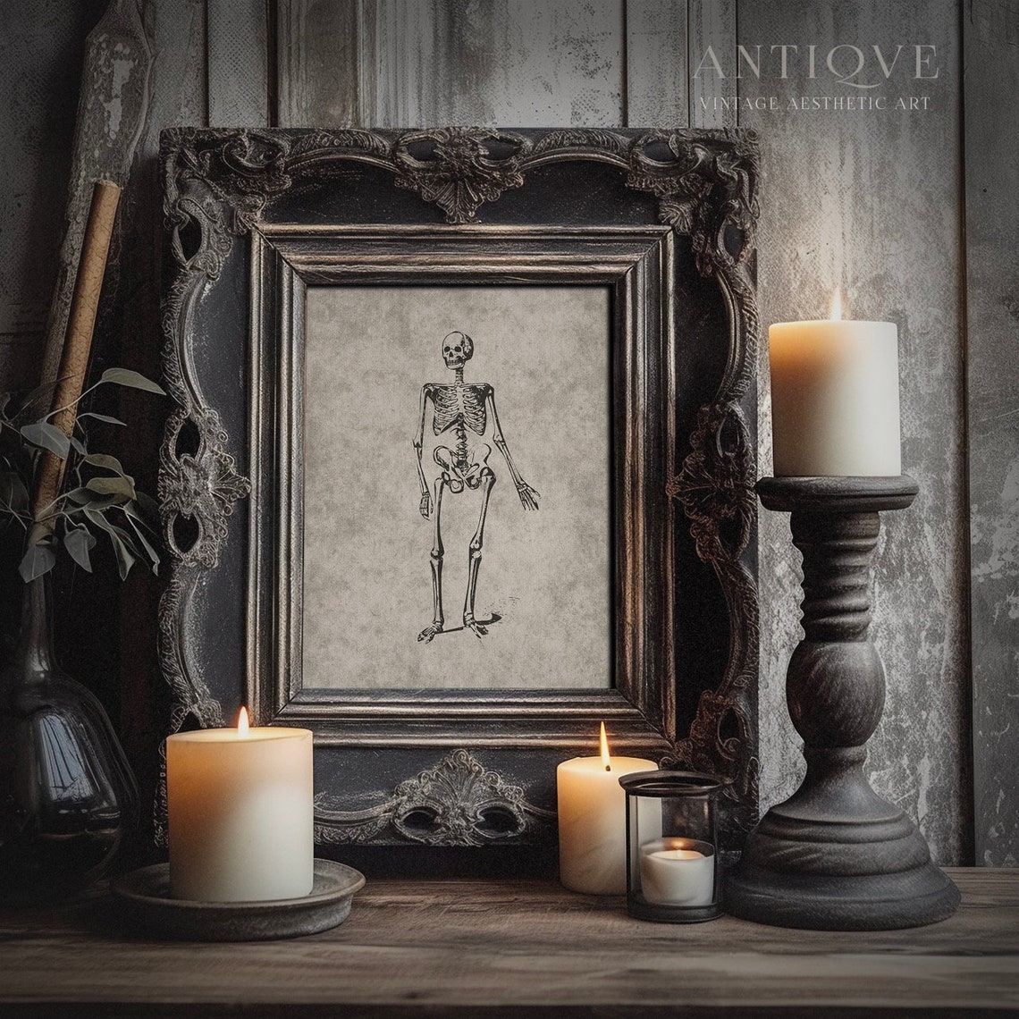 Antique Human Skeleton Anatomy Engraving Vintage Science Print - Image 4