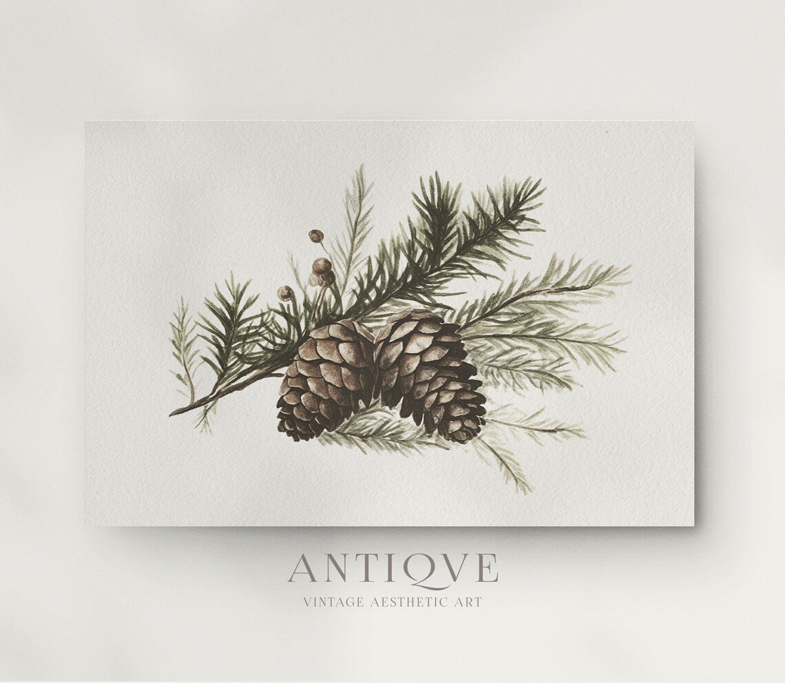 Winter Pinecones Christmas Botanical Rustic Art Print - Image 3