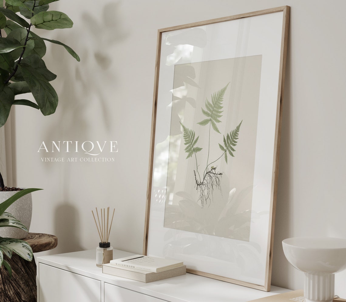 Fern Botanical Study With Roots Antique Natural History Poster - Image 3