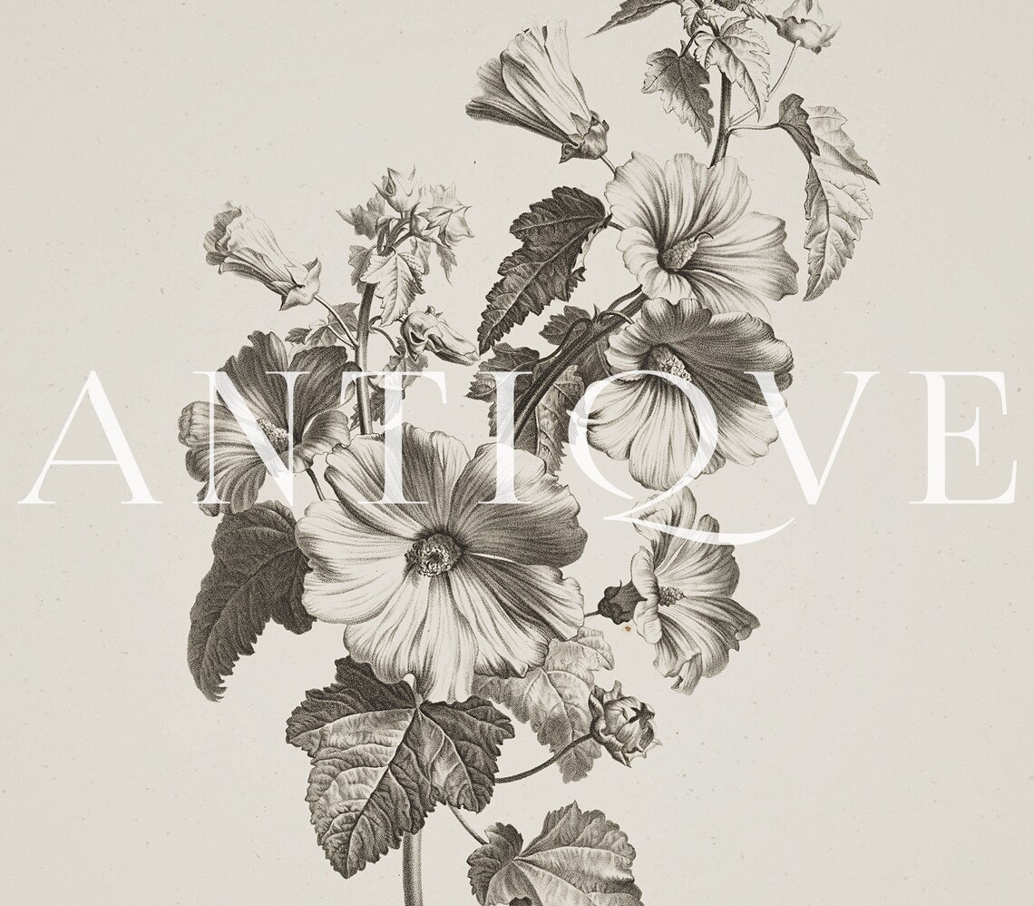 Vintage Flower Sketch Botanical Art Print - Image 3