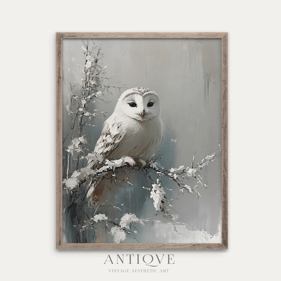 White Owl On Snow Covered Branch Serene Winter Wildlife Art Poster