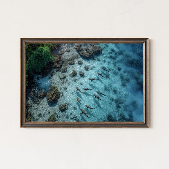 Reef Sharks Aerial Photography Tropical Ocean Wall Art Print