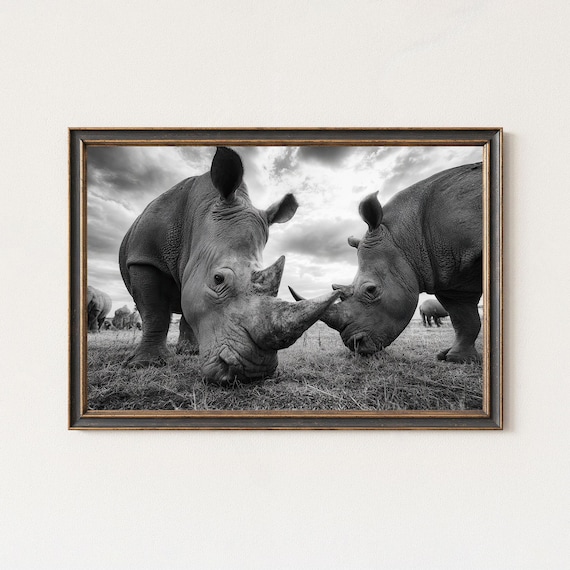Rhino Photography Print Black And White Wildlife Art