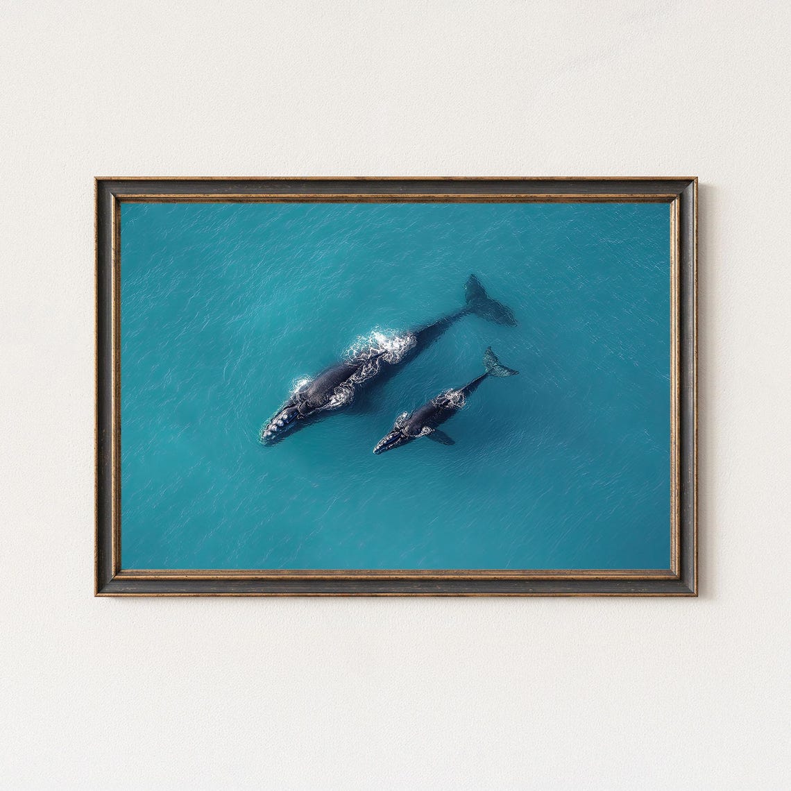 Whale Aerial Photography Mother Calf Ocean Wall Art