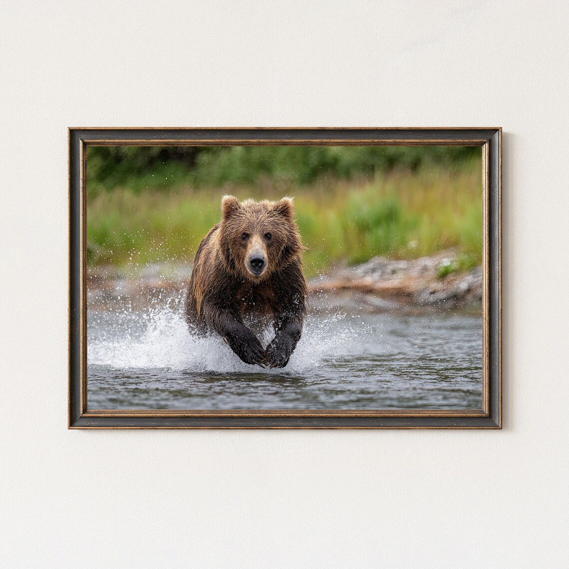 Grizzly Bear Photography Print Wildlife Nature Wall Art