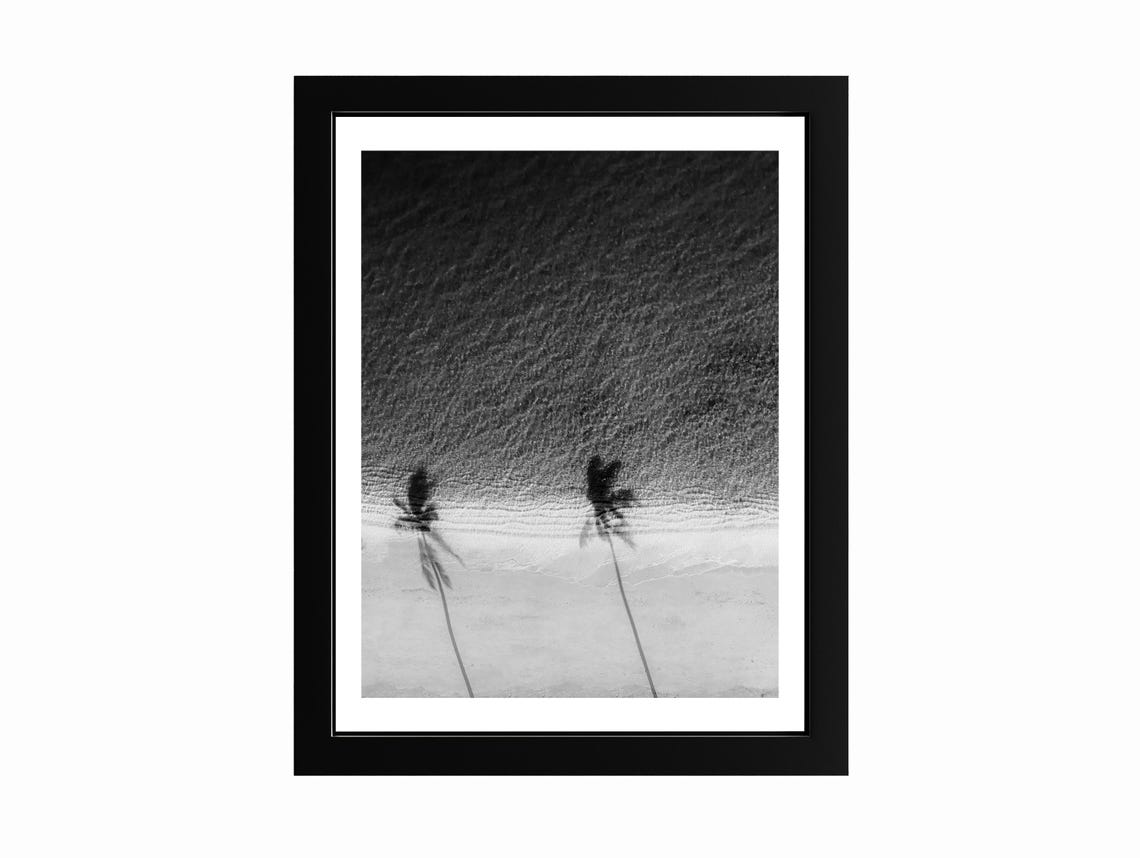 Palm Tree Shadows Black White Beach Photography Poster Aerial View