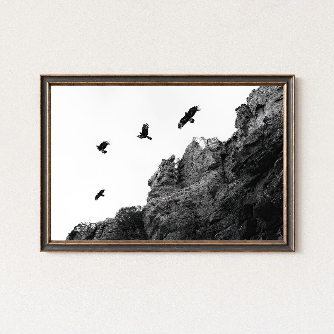 Dramatic Four Black White Eagles Soaring Rocky Cliffs Poster