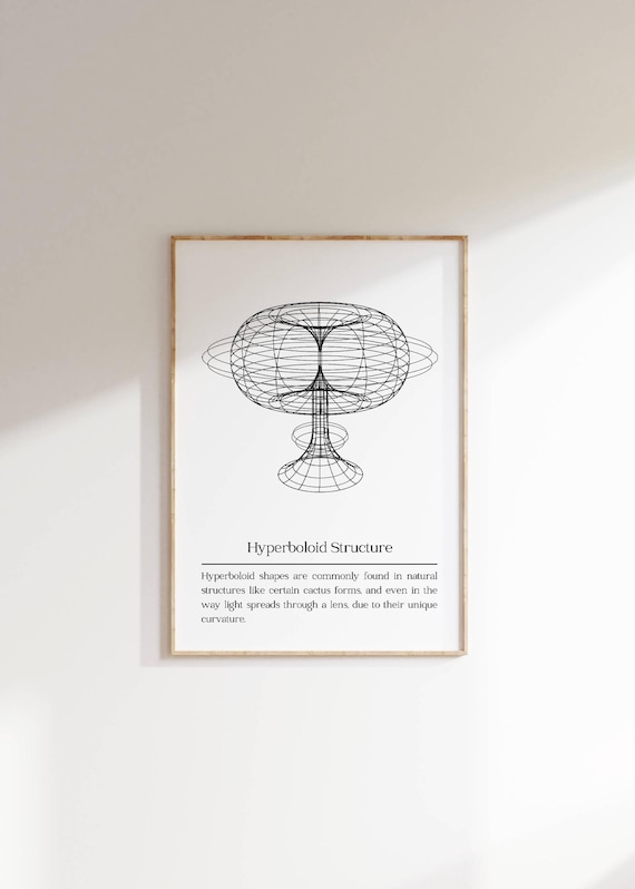 Parametric Wall Art Hyperboloid Structure Modern Minimalist Math Inspired Decor Curvature Design For Home Office Or Study Poster