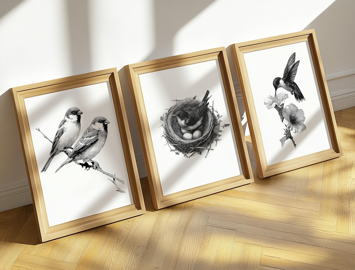 Bird Sketch Wall Art Bundle, Minimalist Vintage Prints