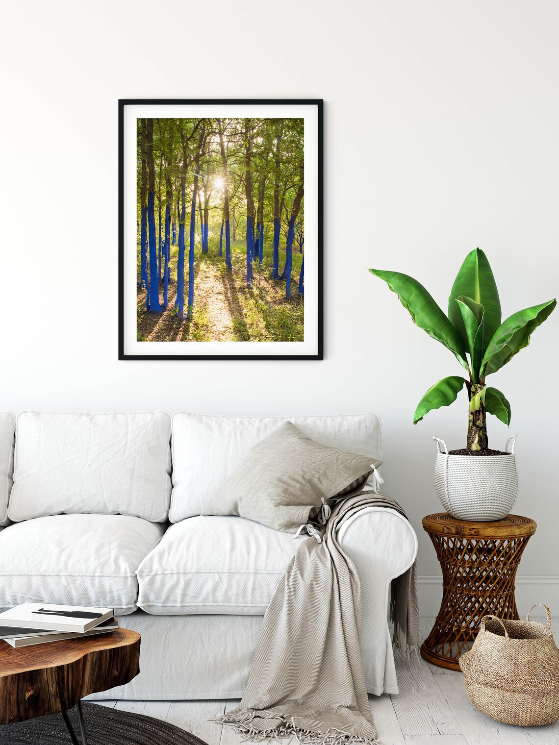 Sunlit Forest with Blue Painted Tree Trunks Art Photo Poster - Image 3