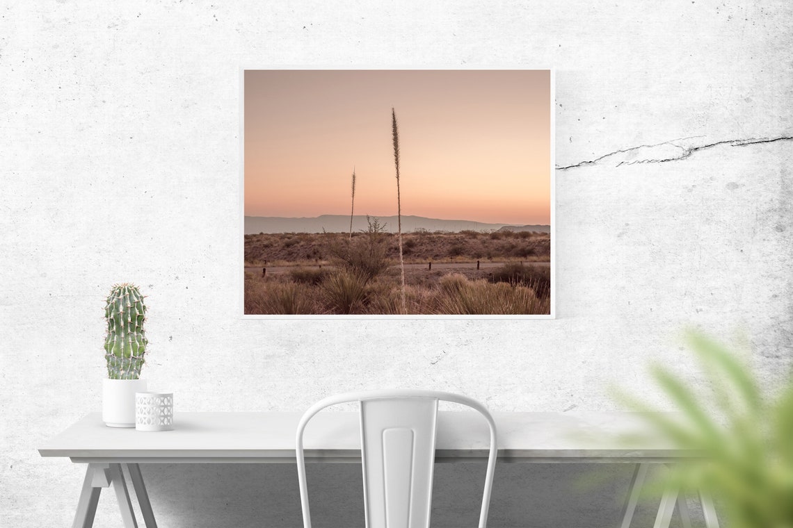 Desert Sunset Agave Silhouette Pink Sky Minimal Landscape Poster - Image 3