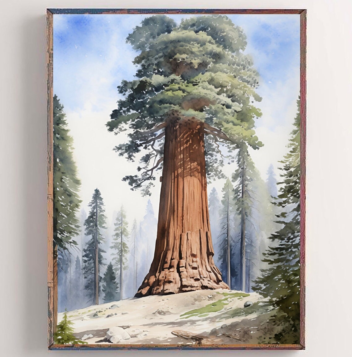 General Sherman Tree California Giant Sequoia Watercolor Poster