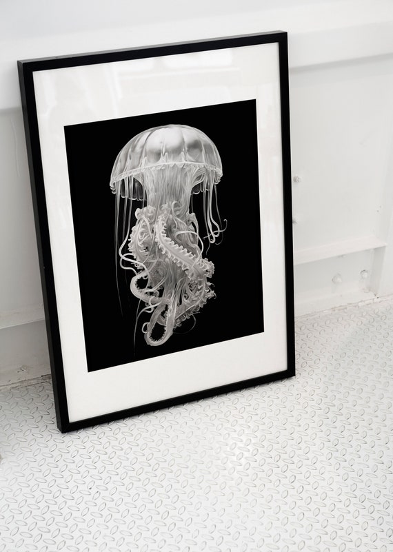 Jellyfish Oil Painting Print Black And White Wall Art