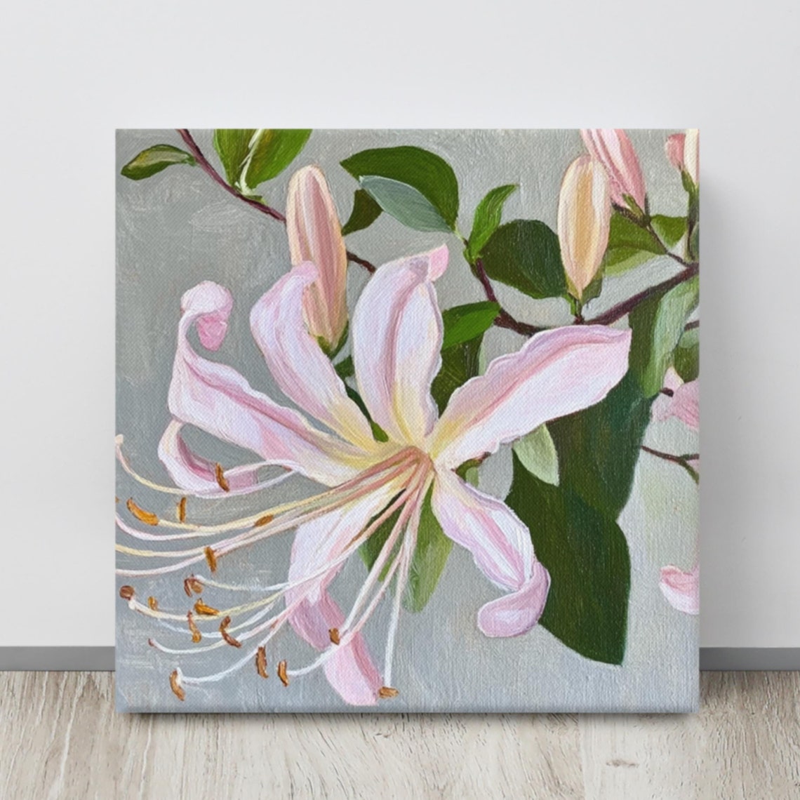 Pink Honeysuckle Blooming Vine Delicate Botanical Flower Poster