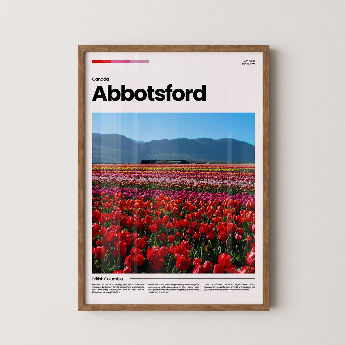 Abbotsford Tulip Fields Mountain View Colorful British Columbia Poster