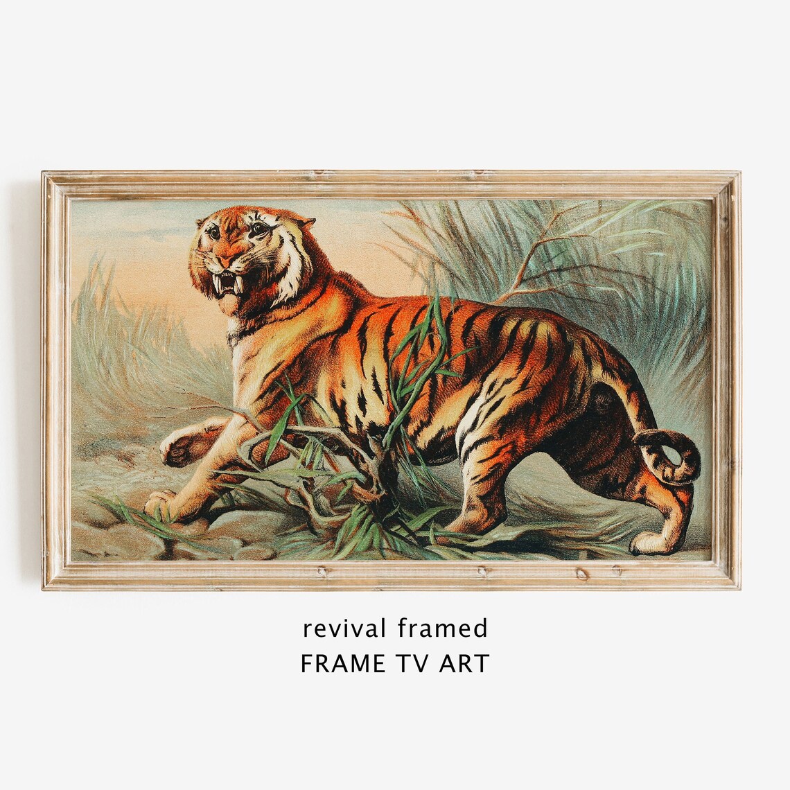 Vintage Bengal Tiger Antique Illustration Snarling Wild Cat Jungle Print