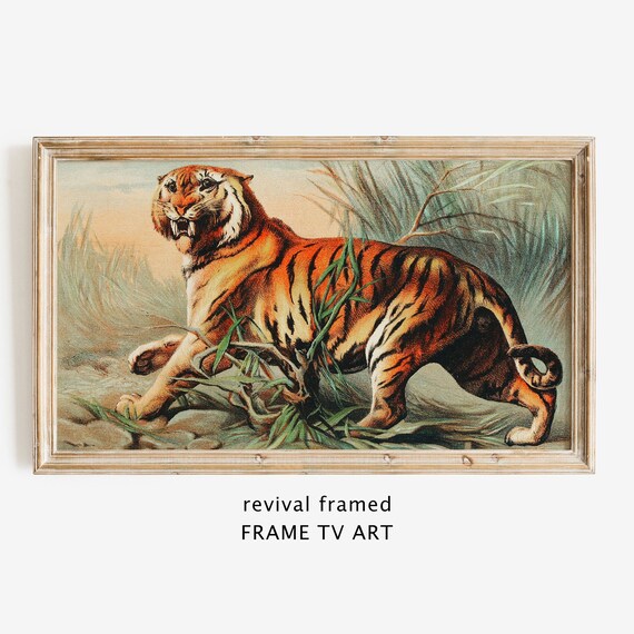 Vintage Bengal Tiger Antique Illustration Snarling Wild Cat Jungle Print