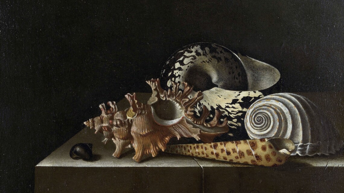 Dark Still Life Oil Painting of Seashells on a Ledge with Black Background Poster - Image 2