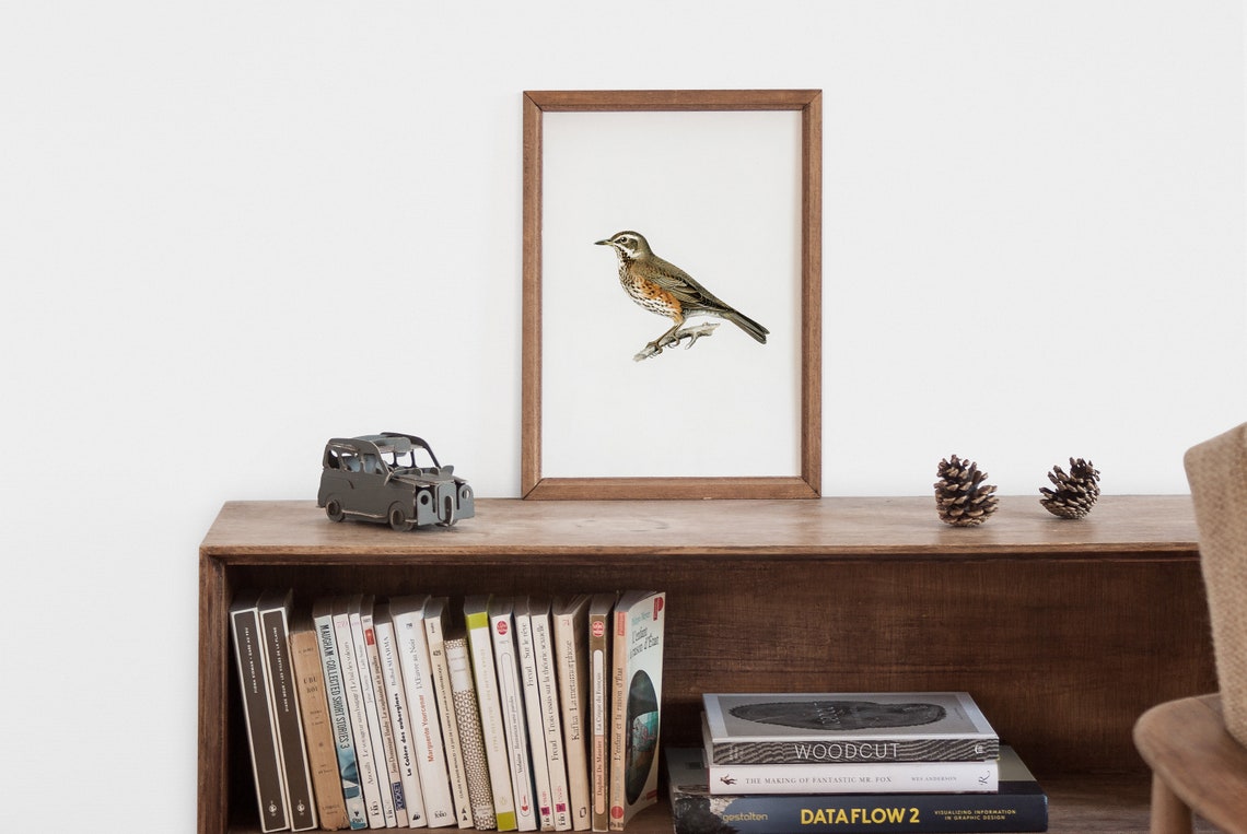 Vintage Bird Botanical Drawing, Farmhouse Art Print - Image 2