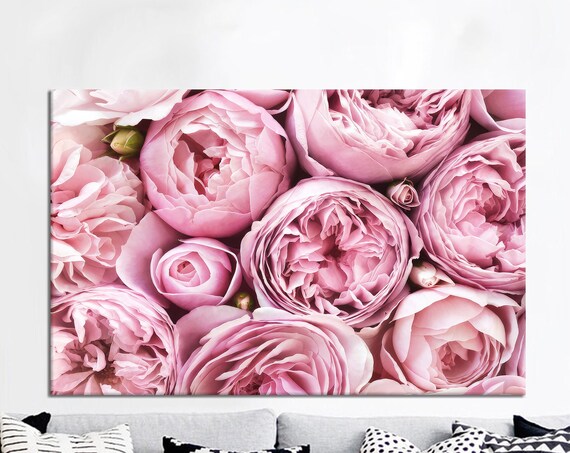 Blush Pink Roses Close Up Soft Romantic Floral Photography Poster